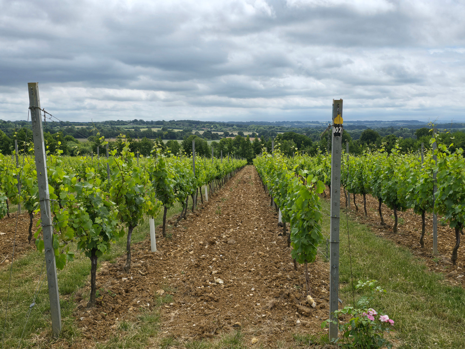 Hattingley Valley Hattingley Valley